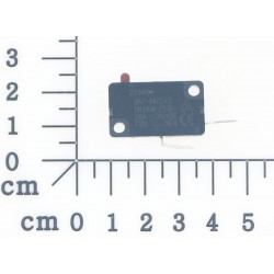 microswitch