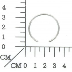 retentor
Número do artigo: 413910101122